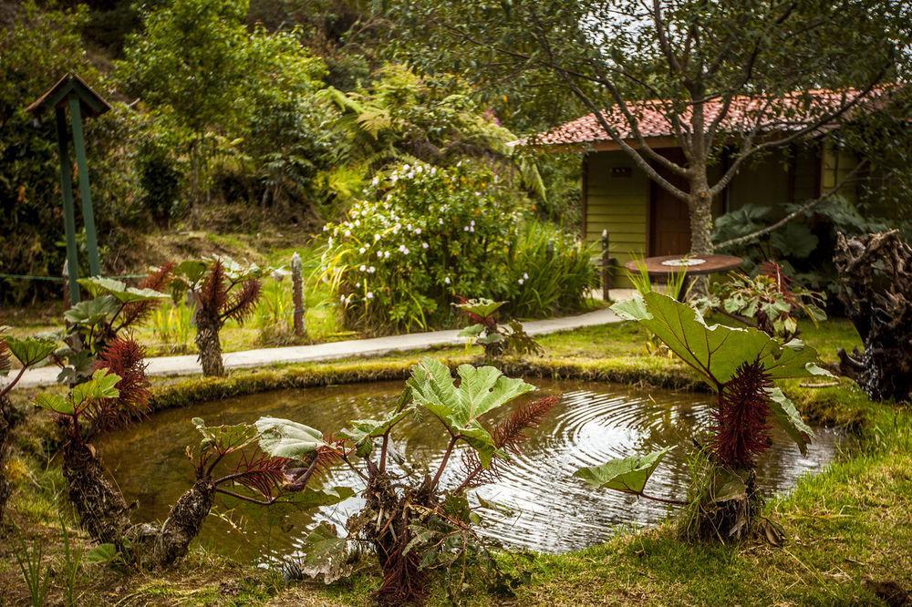 Paraiso Quetzal Lodge Трес-де-Хунио Экстерьер фото