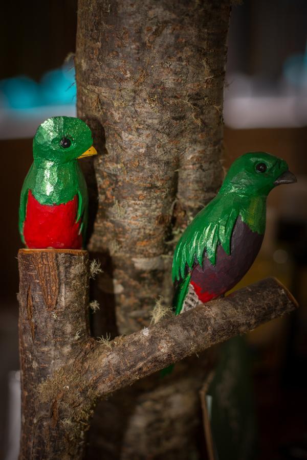 Paraiso Quetzal Lodge Трес-де-Хунио Экстерьер фото